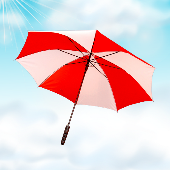 Straight Umbrella 23 Inch